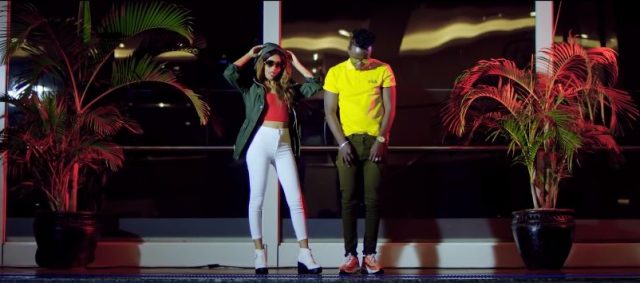 VIDEO DOWNLOAD Willy Paul Ft Nandy – Njiwa