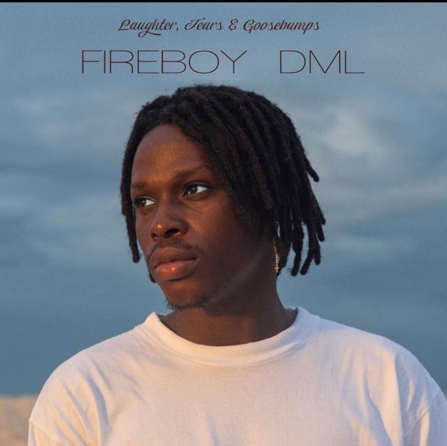 MP3 DOWNLOAD Fireboy DML – Vibration