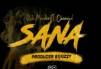 MP3 DOWNLOAD Rich Mavoko Ft Chemical - Sana