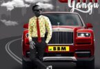 MP3 DOWNLOAD Young dee - Gari yangu