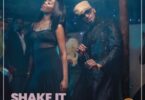 MP3 DOWNLOAD D'banj Ft Tiwa savage - Shake it