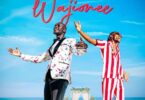 MP3 DOWNLOAD King Kaka Ft Iyanii - Wajionee