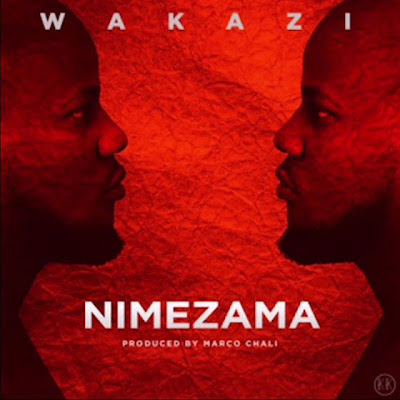 MP3 DOWNLOAD Wakazi - Nimezama