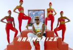 VIDEO DOWNLOAD Harmonize ft Rayvanny - Paranawe