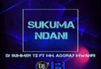 MP3 DOWNLOAD Agray mwanri ft Dj summer - Sukuma ndani