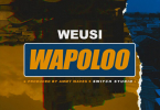 MP3 DOWNLOAD Weusi - Wapolo