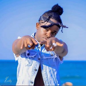 DOWNLOAD MP3 Whozu - Roboti