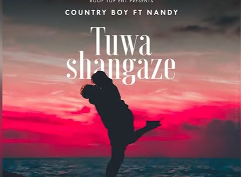 MP3 DOWNLOAD Country Boy Ft Nandy - Tuwashangaze