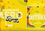 MP3 DOWNLOAD Harmonize - Niteke