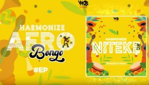 MP3 DOWNLOAD Harmonize - Niteke