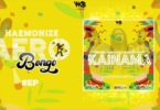 MP3 DOWNLOAD Harmonize ft Burna boy x Diamond platnumz - Kainama