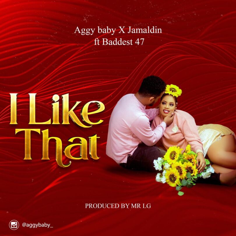 MP3 DOWNLOAD Aggy Baby x Jamaldin Ft Baddest 47 - I Like That