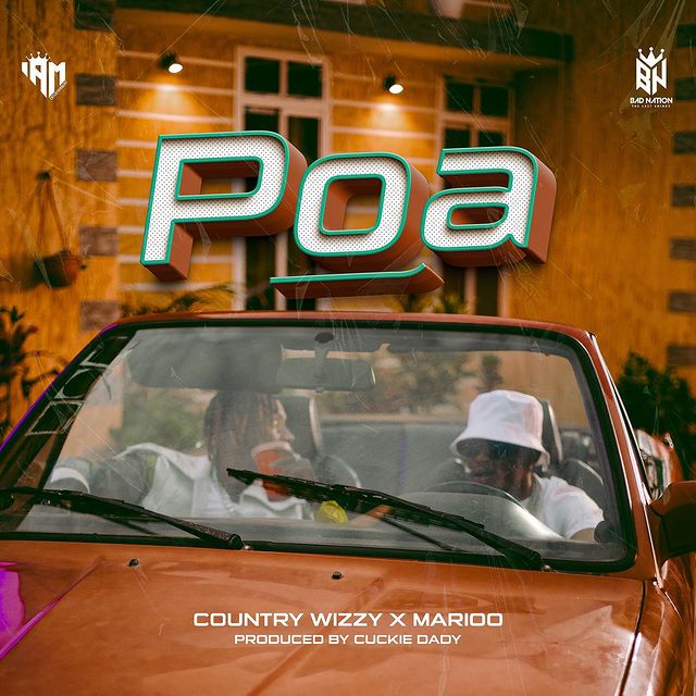 MP3 DOWNLOAD Country Wizzy Ft Marioo - Poa