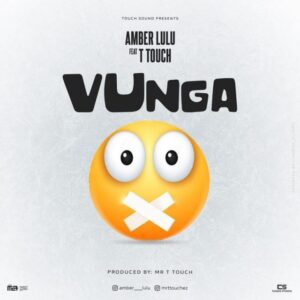 MP3 DOWNLOAD Amber Lulu Ft Mr. T Touch - Vunga