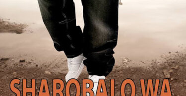 SIMULIZI Sharobaro wa Tandale