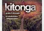 MP3 DOWNLOAD G Nako Ft Nikki Wa Pili & Motra The Future - Kitonga