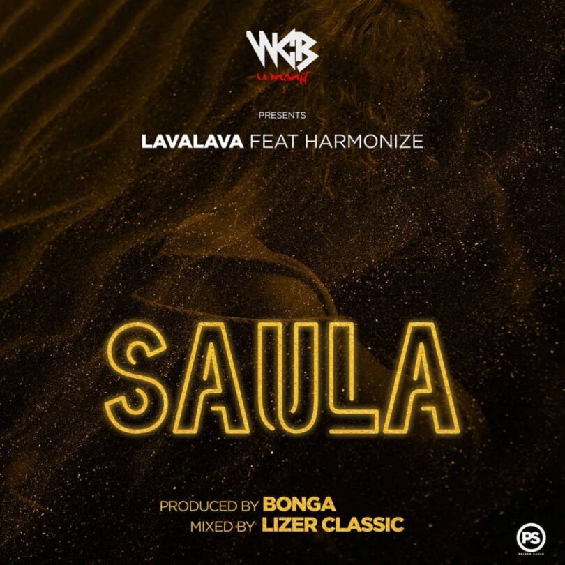 MP3 DOWNLOAD Lava Lava Ft Harmonize – Saula