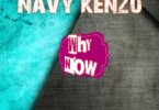 MP3 DOWNLOAD Navy Kenzo - Why Now