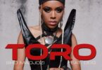 MP3 DOWNLOAD Sho Madjozi Ft DDG - Toro