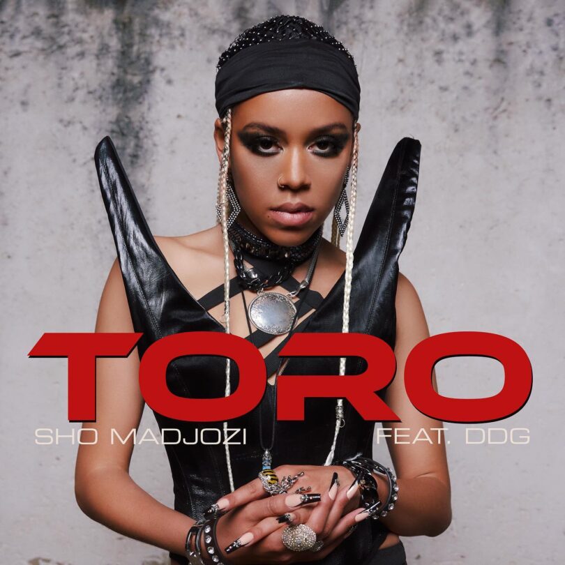 MP3 DOWNLOAD Sho Madjozi Ft DDG - Toro