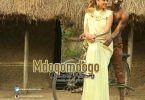 MP3 DOWNLOAD Diamond Platnumz - Mdogo Mdogo