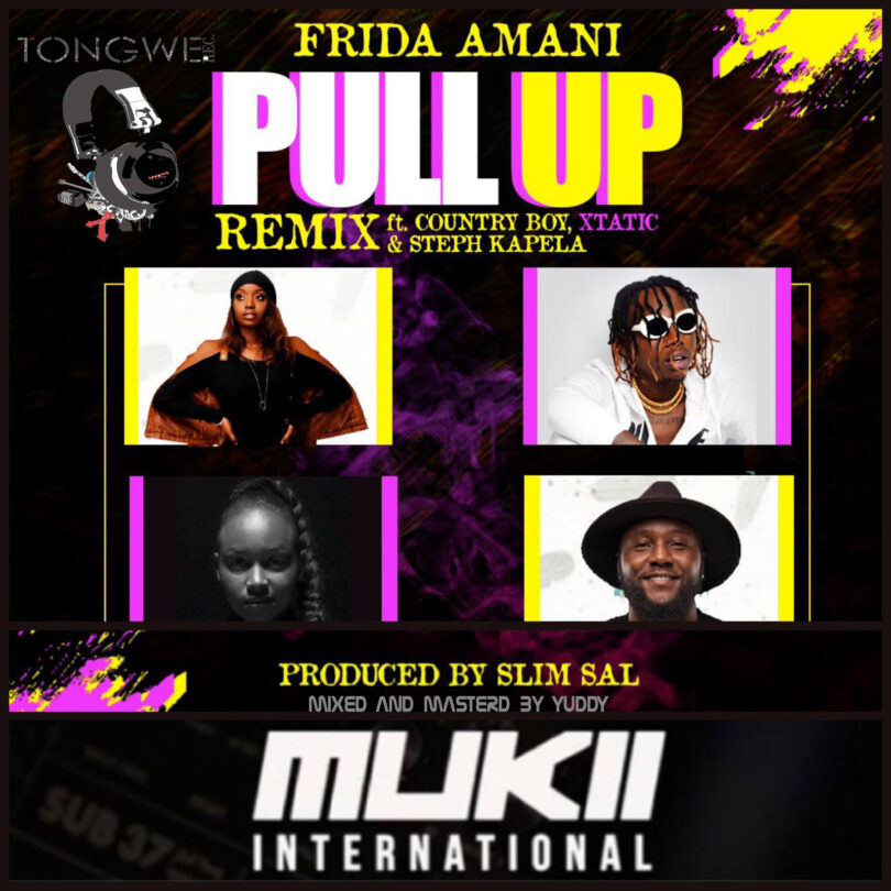 MP3 DOWNLOAD Frida Amani Ft Country Boy, xTatic, Steph Kapela - Pull Up Remix