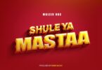 MP3 DOWNLOAD Mkizer HBC - Shule Ya Mastaa