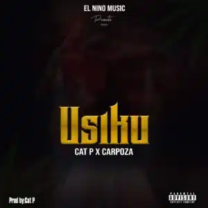 MP3 DOWNLOAD Carpoza Ft Cat P - Usiku