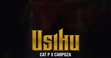 MP3 DOWNLOAD Carpoza Ft Cat P - Usiku