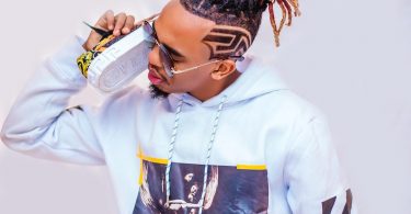 MP3 DOWNLOAD Dogo Janja Ft PNC - Ya Moyoni