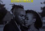 MP3 DOWNLOAD Kayumba Ft Linah – Umeniweza