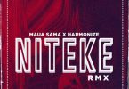 MP3 DOWNLOAD Maua Sama ft Harmonize - Niteke remix