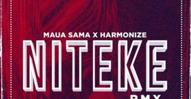 MP3 DOWNLOAD Maua Sama ft Harmonize - Niteke remix