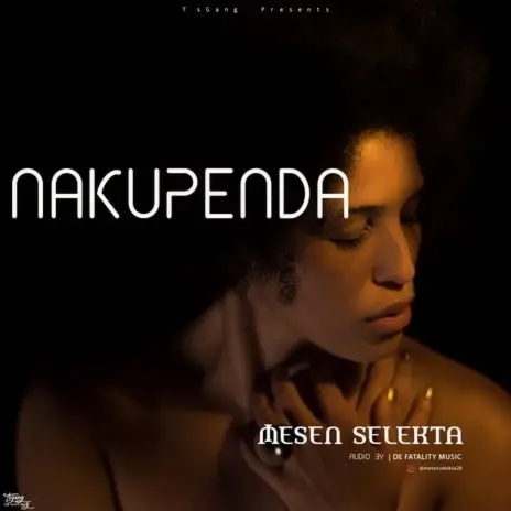 MP3 DOWNLOAD Mesen Selekta – Nakupenda