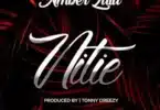 MP3 DOWNLOAD Amber Lulu - Nitie