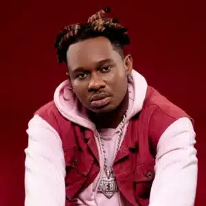 MP3 DOWNLOAD Lava Lava Ft Rayvanny - Tekenya