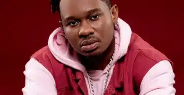 MP3 DOWNLOAD Lava Lava Ft Rayvanny - Tekenya