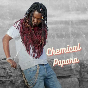 MP3 DOWNLOAD Chemical - Papara Remix