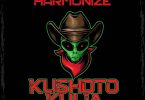 MP3 DOWNLOAD Harmonize - Kushoto kulia