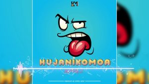 Harmonize - Hujanikomoa Lyrics