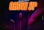 MP3 DOWNLOAD Nacha – Grow Up