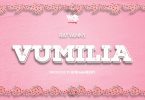 MP3 DOWNLOAD Rayvanny - Vumilia