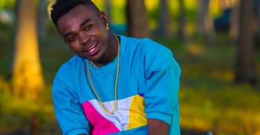 MP3 DOWNLOAD Aslay - Likizo