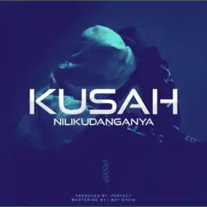 MP3 DOWNLOAD Kusah - Nilikudanganya