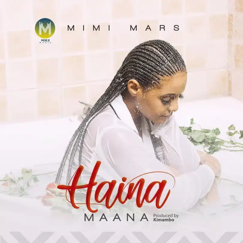 MP3 DOWNLOAD Mimi Mars – Haina Maana