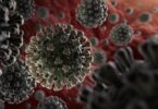 FDA APPROVES THE FIRST COMMERCIAL CORONAVIRUS TESTS IN THE US