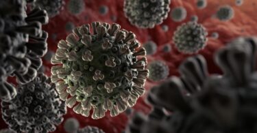 FDA APPROVES THE FIRST COMMERCIAL CORONAVIRUS TESTS IN THE US