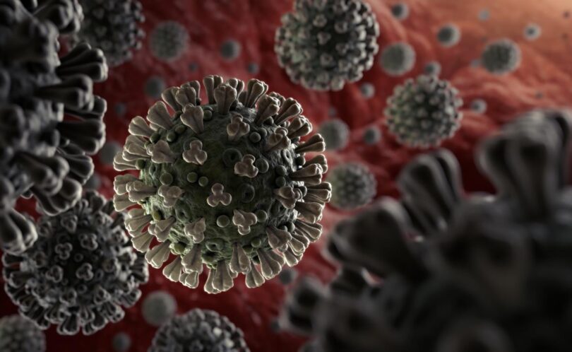 FDA APPROVES THE FIRST COMMERCIAL CORONAVIRUS TESTS IN THE US