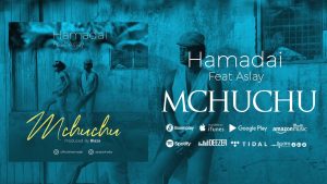 MP3 DOWNLOAD Hamadai ft Aslay - Mchuchu