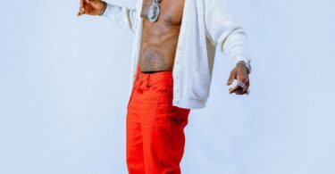 MP3 DOWNLOAD Harmonize Ft Fik Fameica – Bedroom Remix